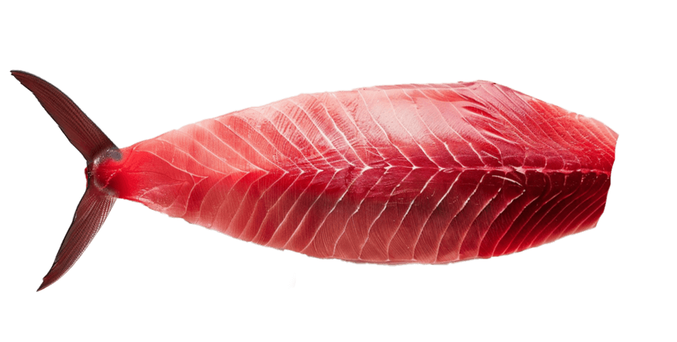 tuna-fillet.png