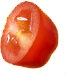 Untitled-2_0003_tomato4.png