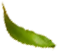 fresh_0002_3.png