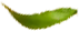 fresh_0003_4.png