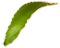 fresh_0004_5.png